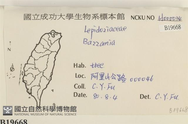 登錄號:B00019668藏品圖，第2張