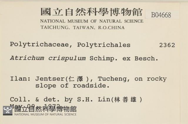 卷葉仙鶴蘚藏品圖，第2張