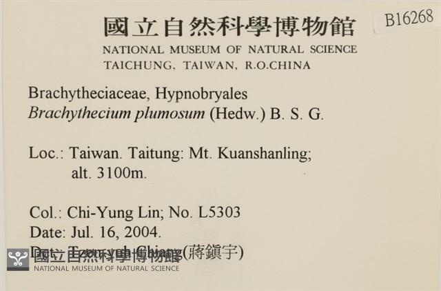 羽枝青蘚藏品圖，第2張