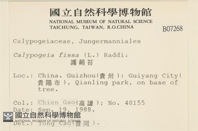 護蒴苔藏品圖，第2張