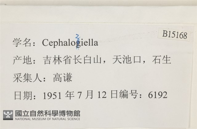 登錄號:B00015168藏品圖，第2張