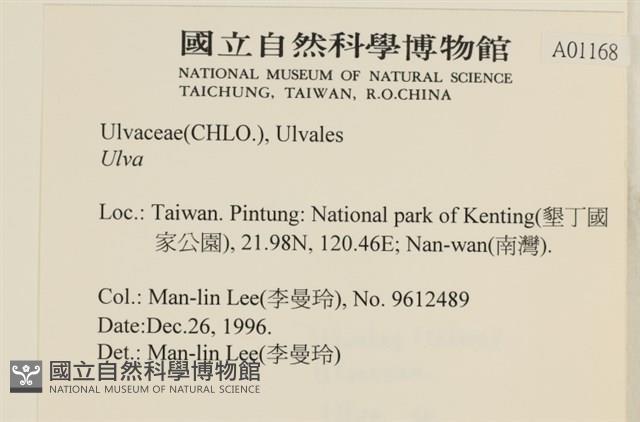 登錄號:A00001168藏品圖，第2張