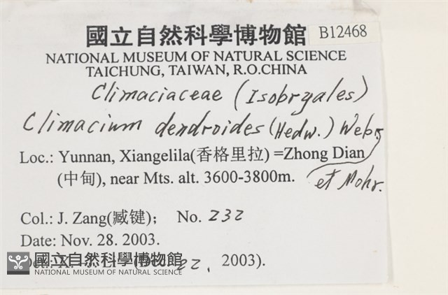 登錄號:B00012468藏品圖，第2張