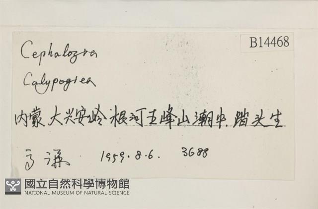 登錄號:B00014468藏品圖，第2張