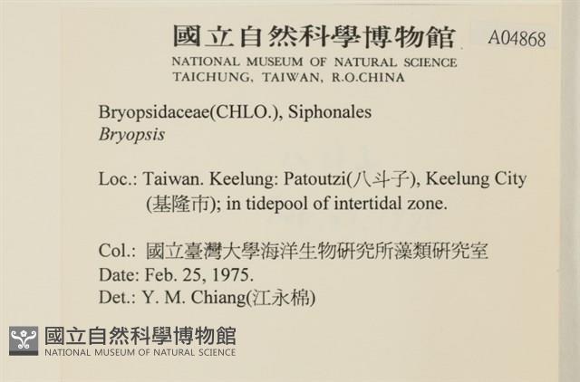登錄號:A00004868藏品圖，第2張