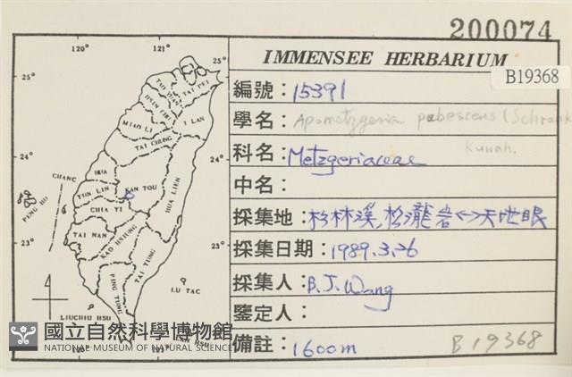 毛擬叉苔藏品圖，第2張