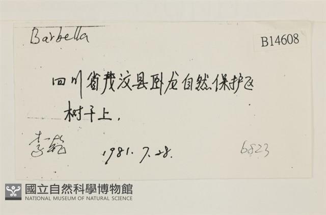 登錄號:B00014608藏品圖，第2張