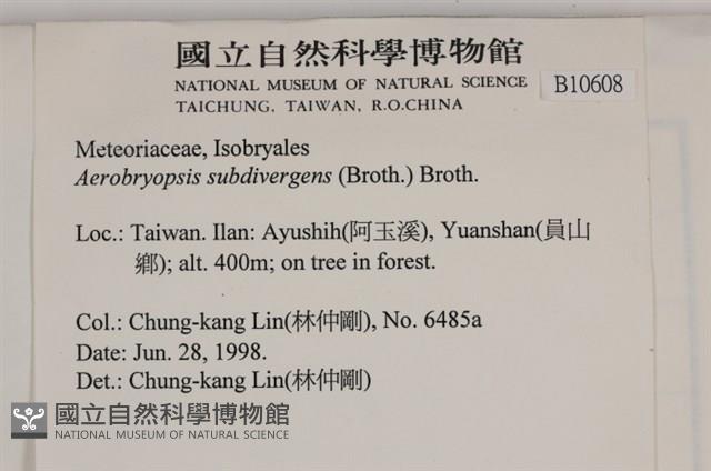 大灰氣蘚藏品圖，第2張