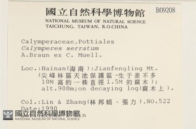 齒邊花葉蘚藏品圖，第2張