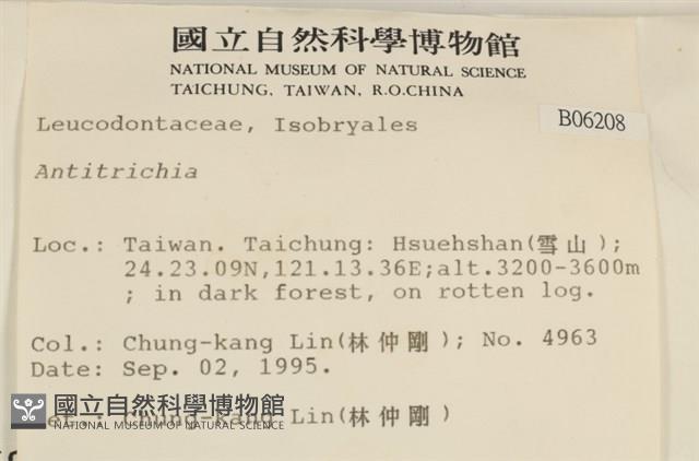 登錄號:B00006208藏品圖，第2張