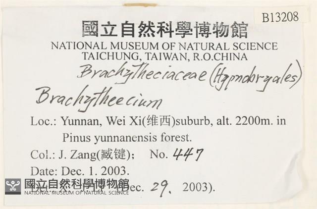 登錄號:B00013208藏品圖，第2張