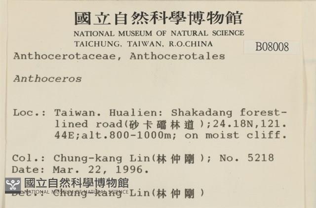 登錄號:B00008008藏品圖，第2張