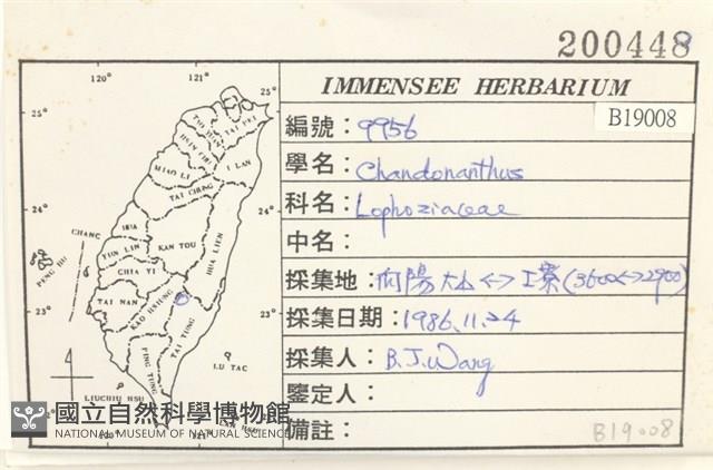 登錄號:B00019008藏品圖，第2張