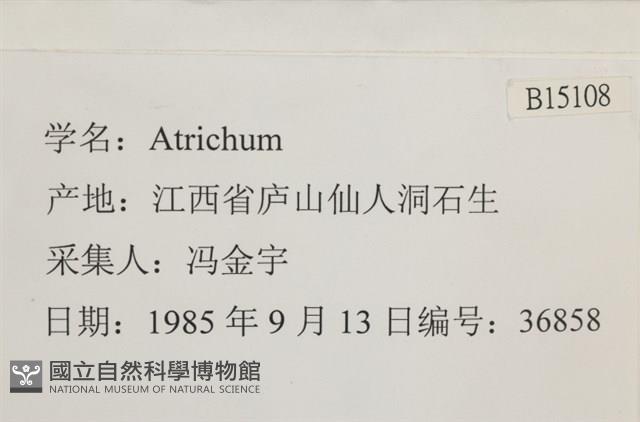 登錄號:B00015108藏品圖，第2張