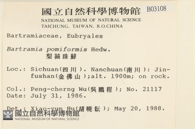 登錄號:B00003108藏品圖，第2張