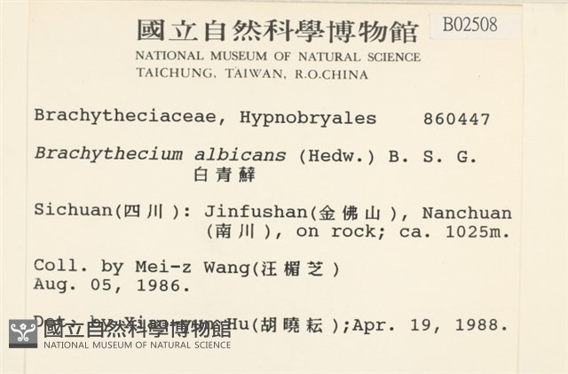 白青蘚藏品圖，第2張
