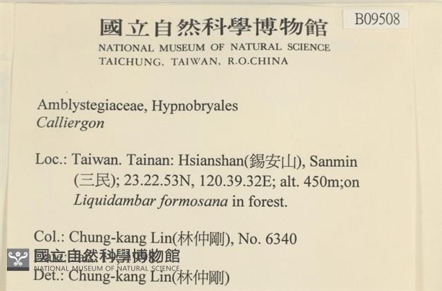 登錄號:B00009508藏品圖，第2張