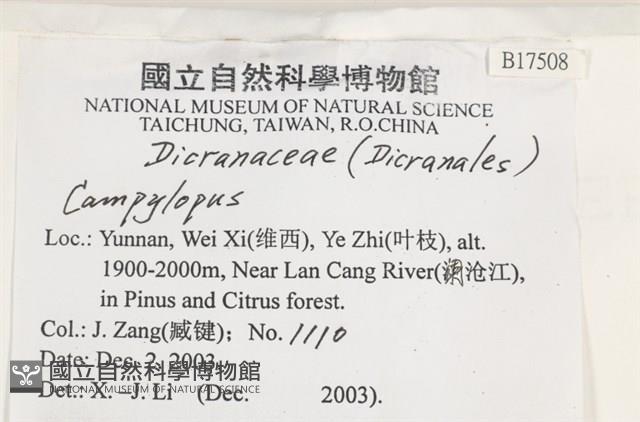 登錄號:B00017508藏品圖，第2張