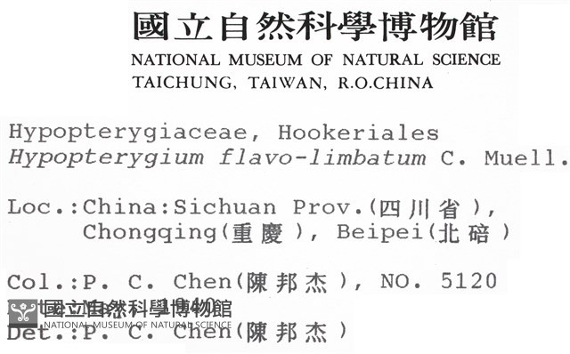登錄號:B00010508藏品圖，第2張