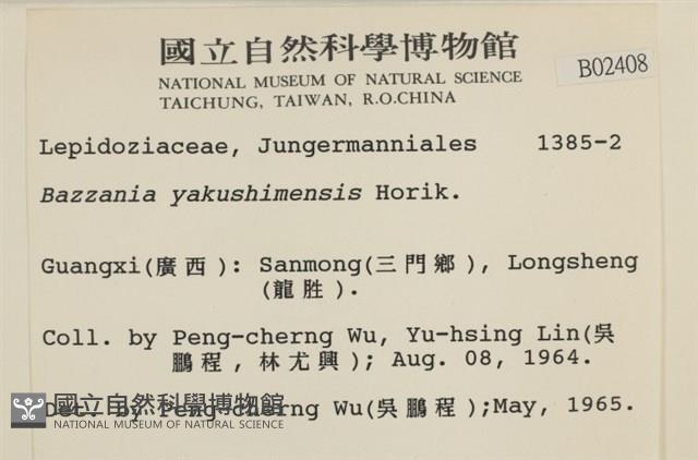 登錄號:B00002408藏品圖，第2張