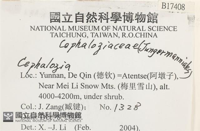 登錄號:B00017408藏品圖，第2張