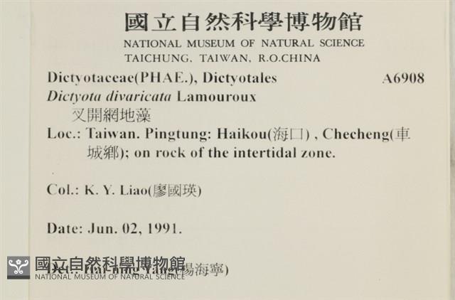 登錄號:A00006908藏品圖，第2張