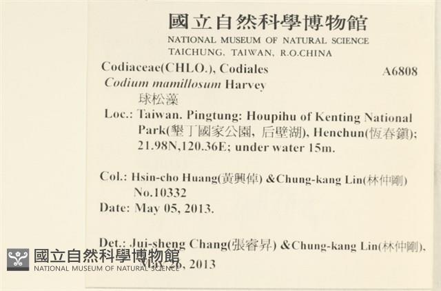 登錄號:A00006808藏品圖，第2張