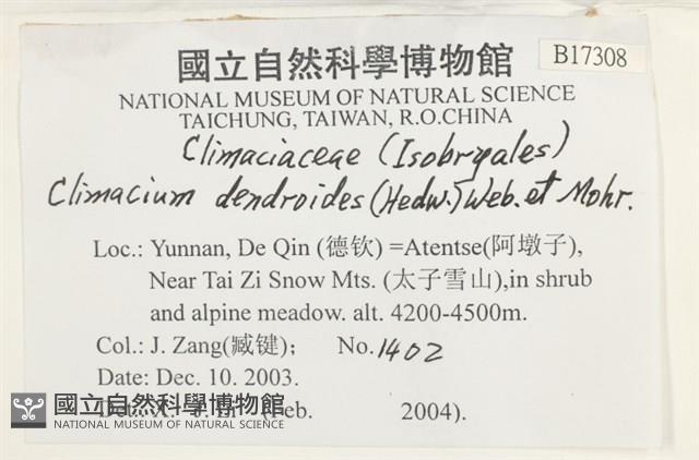登錄號:B00017308藏品圖，第2張