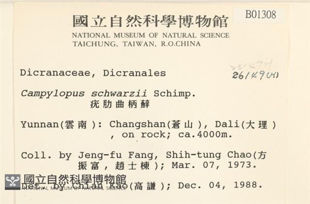 登錄號:B00001308藏品圖，第2張