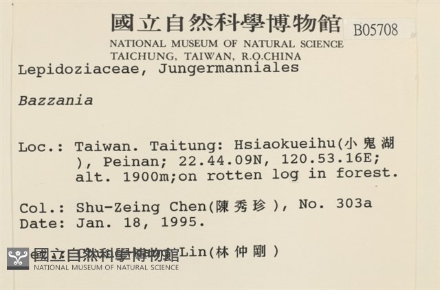 登錄號:B00005708藏品圖，第2張