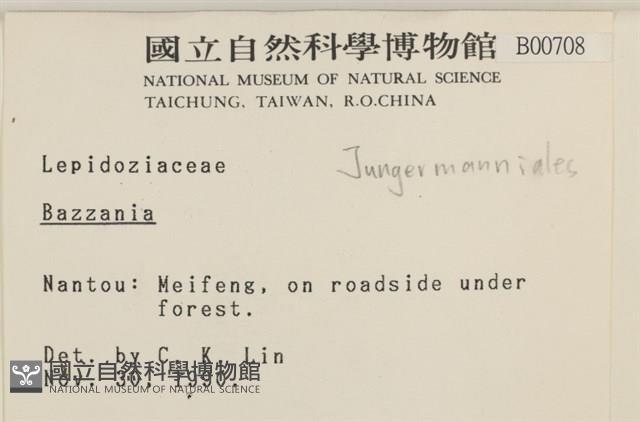 登錄號:B00000708藏品圖，第2張