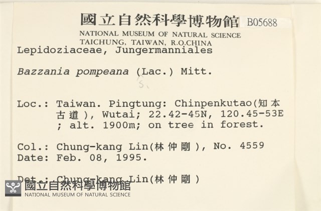 登錄號:B00005688藏品圖，第2張