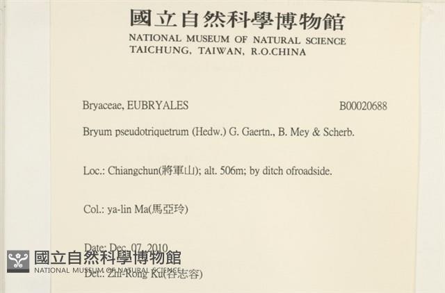 登錄號:B00020688藏品圖，第2張