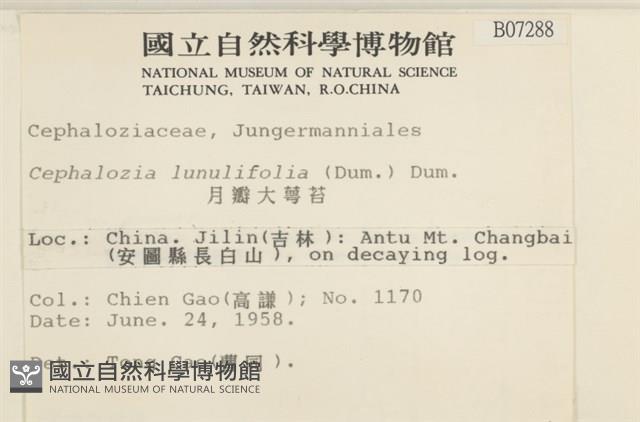 登錄號:B00007288藏品圖，第2張