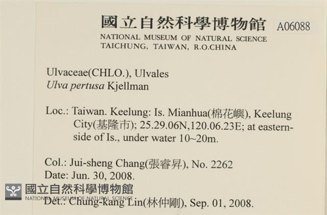 石蓴藏品圖，第2張