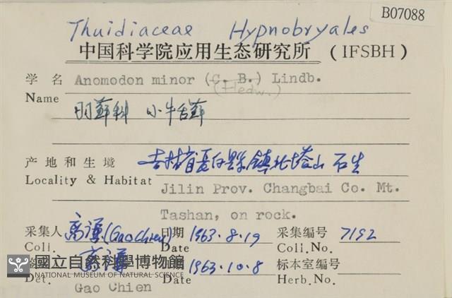 小牛舌蘚藏品圖，第2張