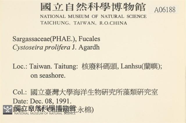 登錄號:A00006188藏品圖，第2張