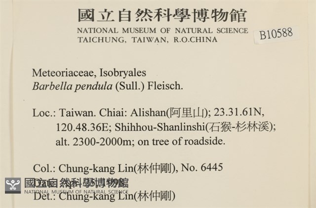 多疣懸蘚藏品圖，第2張