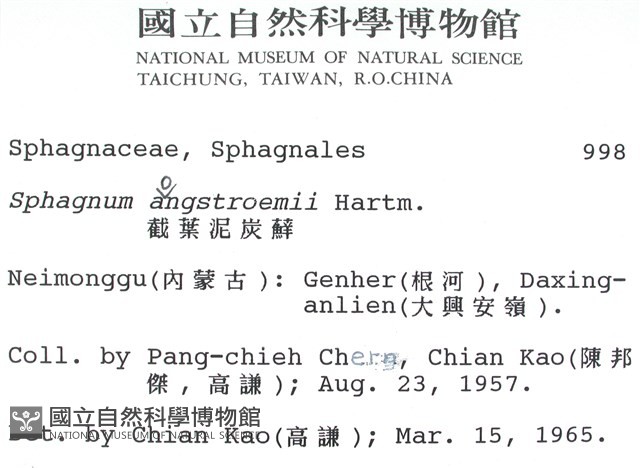 截葉泥炭蘚藏品圖，第2張