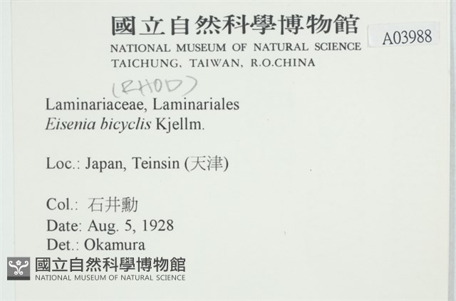 登錄號:A00003988藏品圖，第2張