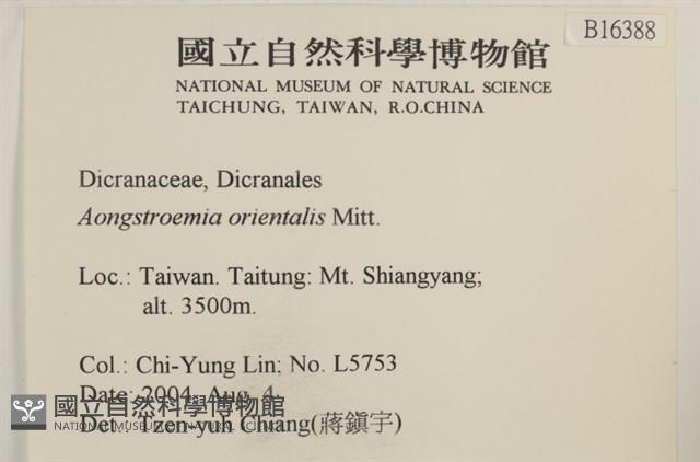 東亞昂氏蘚,東方昂氏蘚藏品圖，第2張