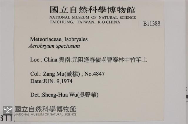 登錄號:B00011388藏品圖，第2張