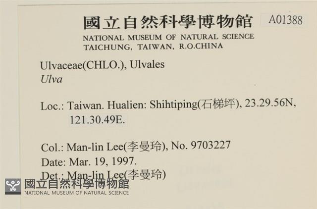 登錄號:A00001388藏品圖，第2張