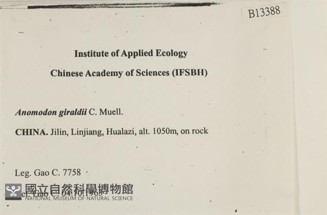 登錄號:B00013388藏品圖，第2張