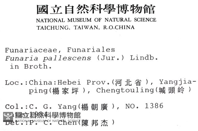 登錄號:B00009788藏品圖，第2張