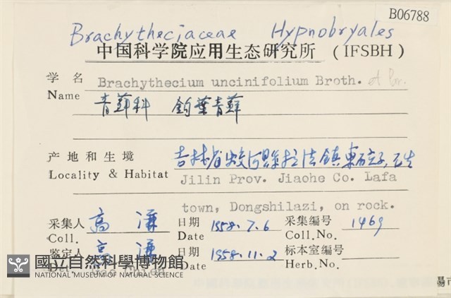 鉤葉青蘚藏品圖，第2張