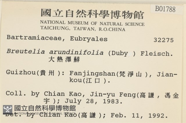 大熱澤蘚藏品圖，第2張