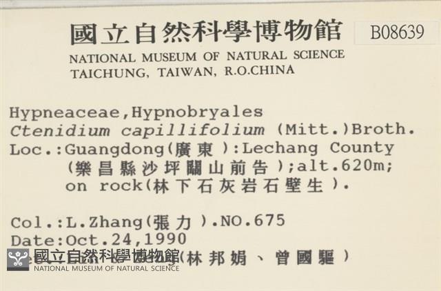 細葉櫛葉蘚, 毛葉梳蘚藏品圖，第2張