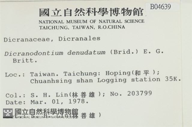 青毛苔藏品圖，第2張