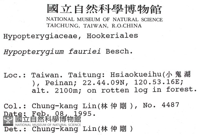 東亞孔雀蘚藏品圖，第2張